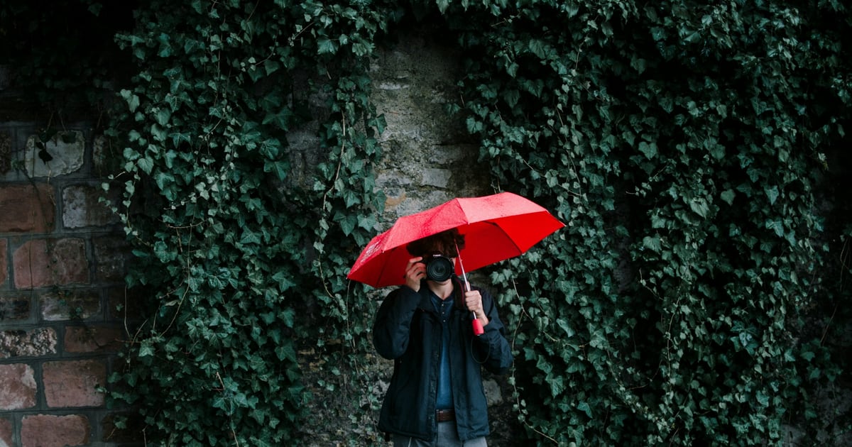 A person holding a red umbrella and a camera in front of a wall covered in dark ivy