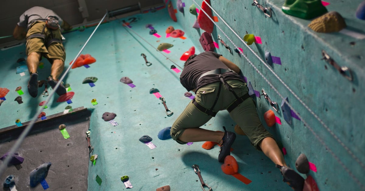 Climbers on ropes working their way up a teal indoor climbing wall covered in colored holds